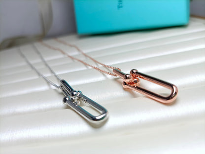 [⭐Veyra Jewels]HARDWEAR DROP DOUBLE LINK PEDANT NECKLACE