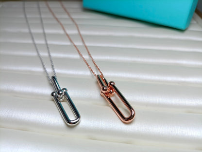 [⭐Veyra Jewels]HARDWEAR DROP DOUBLE LINK PEDANT NECKLACE
