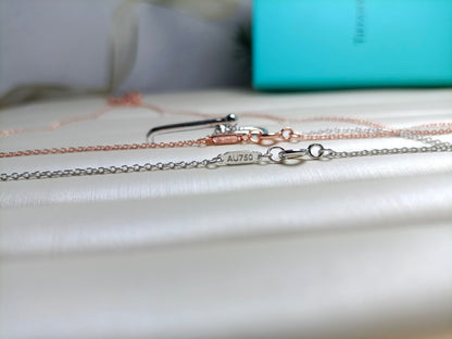 [⭐Veyra Jewels]HARDWEAR DROP DOUBLE LINK PEDANT NECKLACE