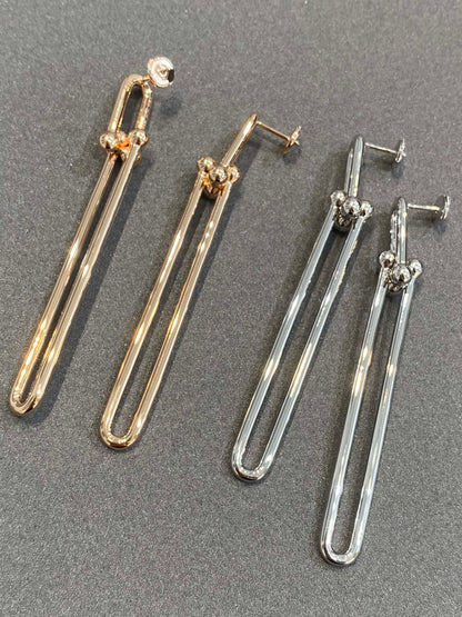 [⭐Veyra Jewels]HARDWEAR DOUBLE LONG LINK EARRINGS