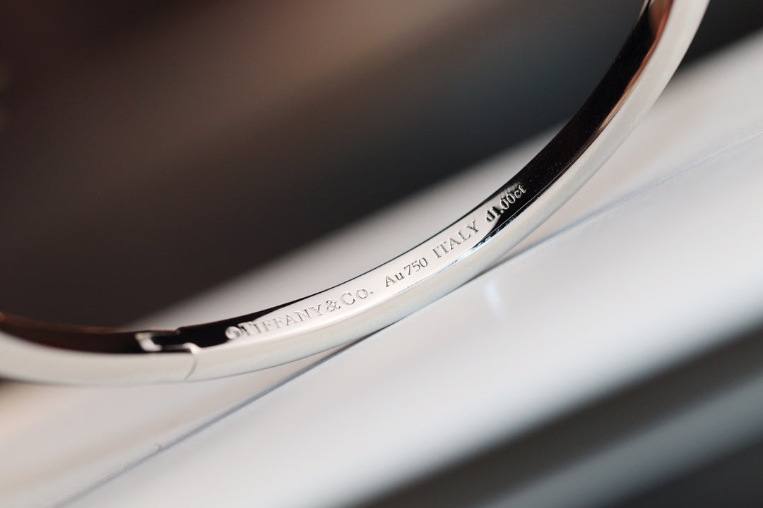 [⭐Veyra Jewels]NARROW T1 HINGED BANGLE DIAMOND SILVER