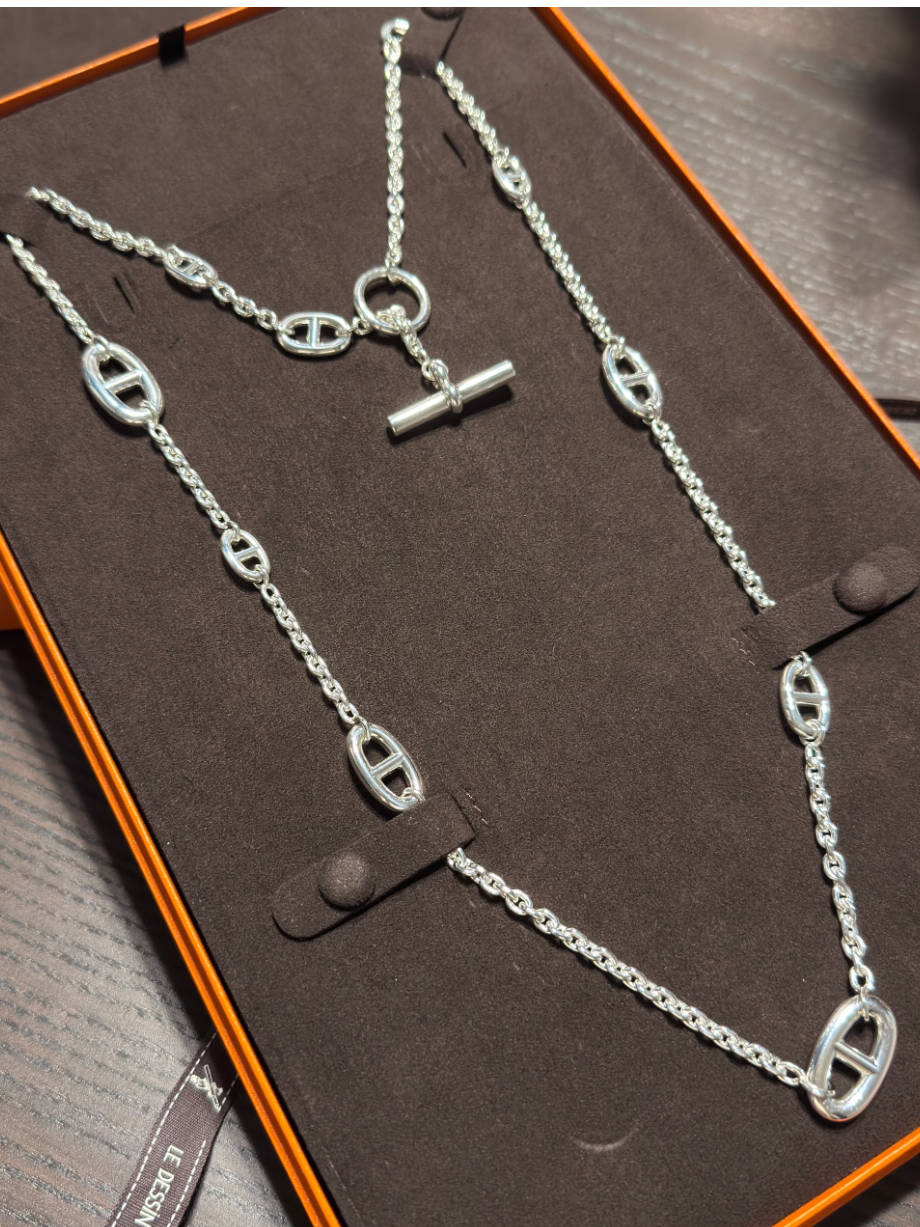 [⭐Veyra]Classic Silver Sweater Chain