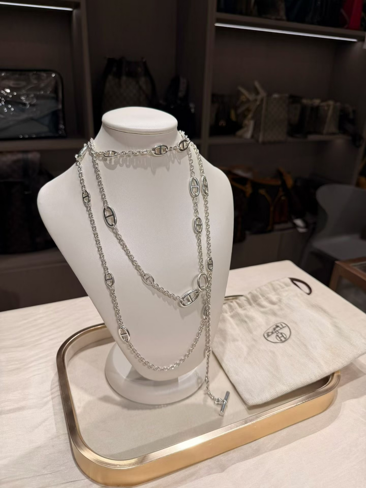 [⭐Veyra]Classic Silver Sweater Chain