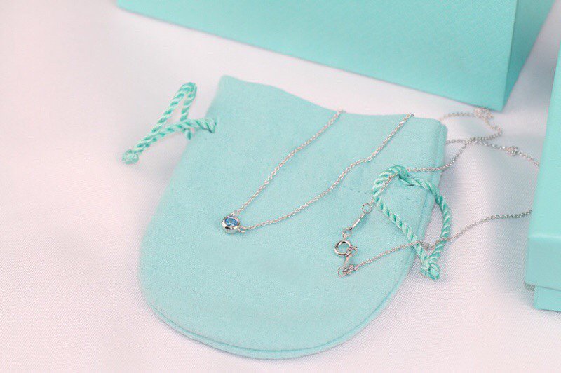 [⭐Veyra Jewels]ELSA PERETTI SERIES SINGLE DIAMOND SIMPLE NECKLACE