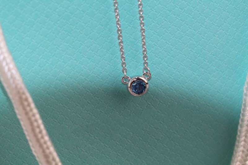 [⭐Veyra Jewels]ELSA PERETTI SERIES SINGLE DIAMOND SIMPLE NECKLACE