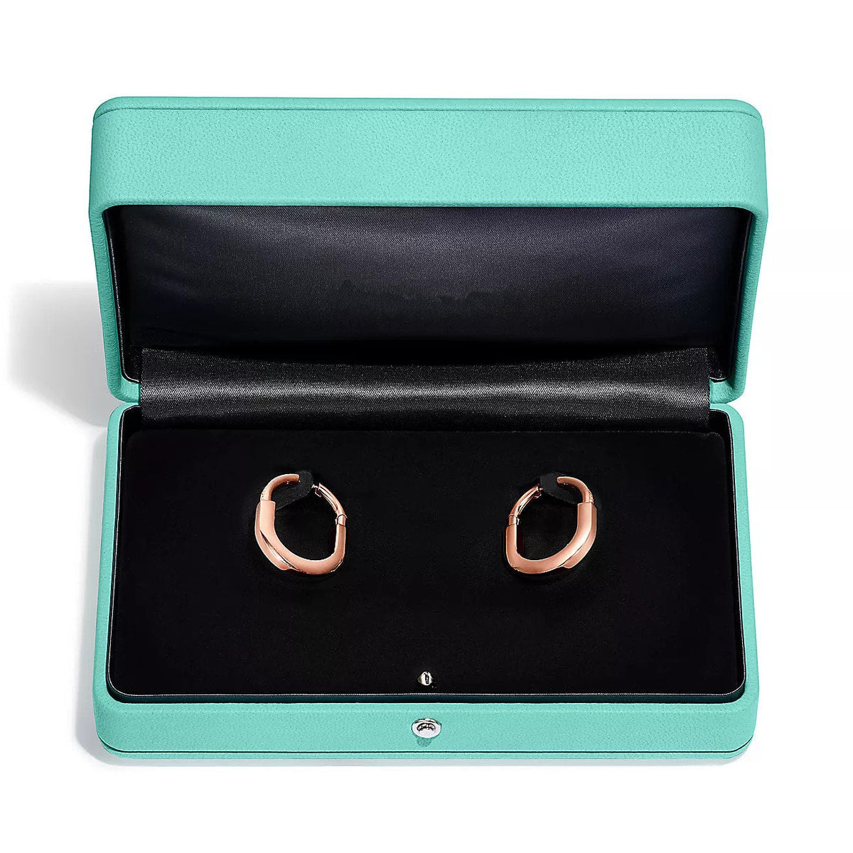[⭐Veyra Jewels]LOCK MEDIUM DIAMNOND EARRINGS