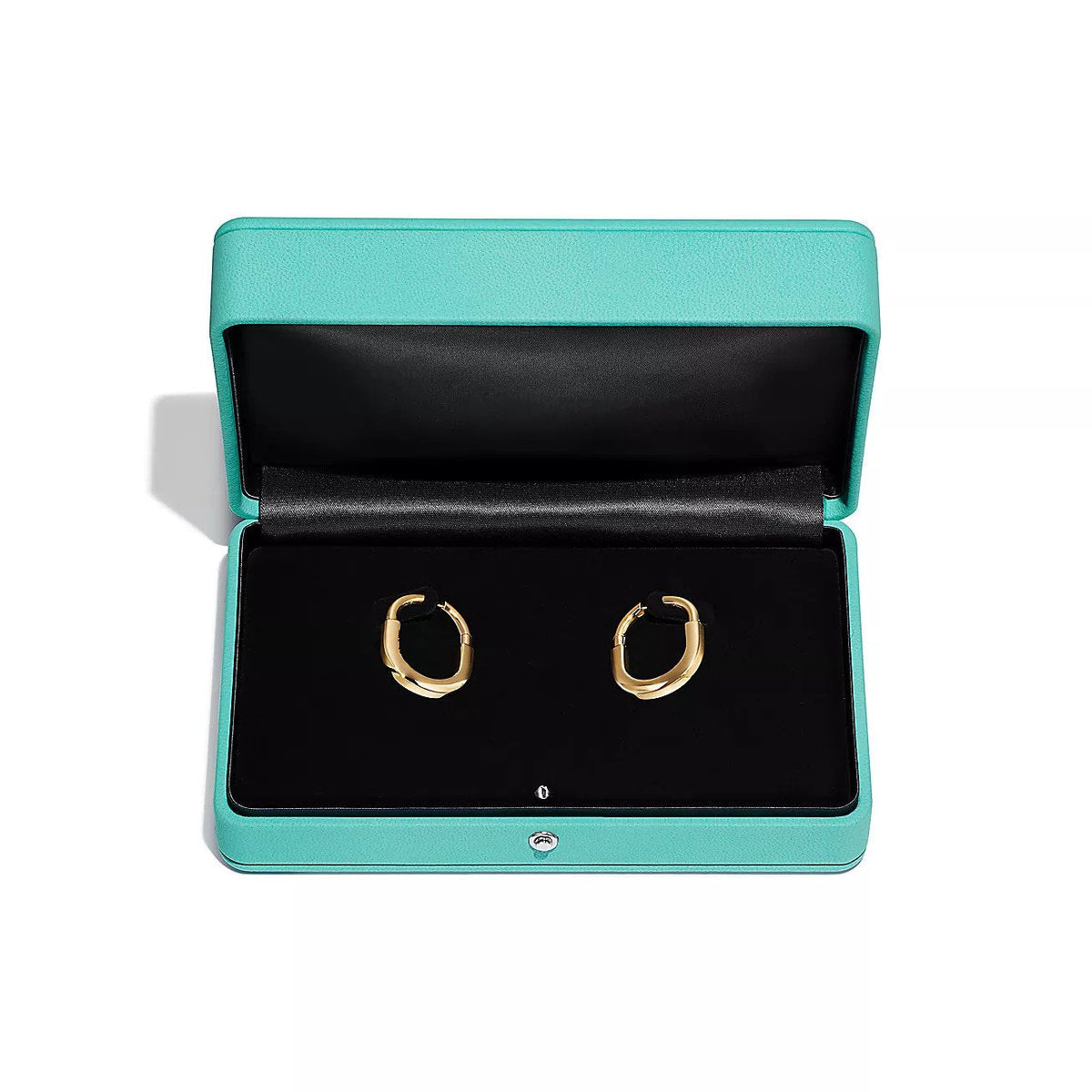 [⭐Veyra Jewels]LOCK MEDIUM EARRINGS