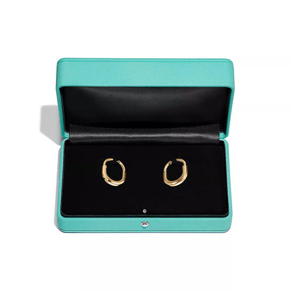 [⭐Veyra Jewels]LOCK MEDIUM EARRINGS